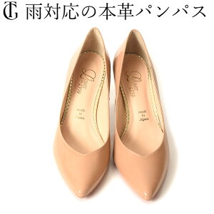 C J pvX {v { pvX Gi ʋ TCY 21.5cm 22cm 傫 TCY 25cm |CebhgD ubN  x[W rWlX tH[} Zj[ w 