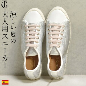 TCY  ^bN Xj[J[ fB[X ꂢ l Xj[J[ 50   XJ[g   Xj[J[ 40  60 Xj[J[ Vo[ S[h {v Xj[J