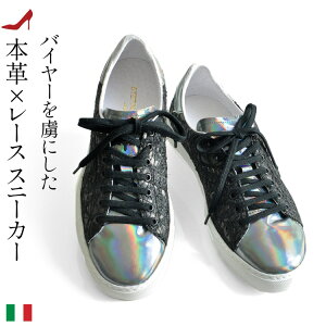 Xj[J[ fB[X [Jbg STEFANO GAMBA Xet@mKo C^A uh  ubN S[h 傫TCY 25cm 25.5cm