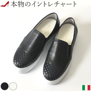 Xb|  fB[X   Cq[ y zCg C^A U[ ҍ {v lCr[ ubN  傫TCY 25cm 25.5cm Xet@mKo