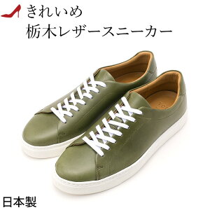 TCY  { v ꂢ fB[X Xj[J[ U[   Xj[J[ uh 傫 TCY  TCY ru\[ Xj[J[ y l Xj[J[ X[c