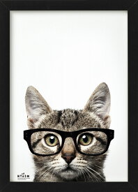 楽天市場 猫 眼鏡 アートパネル アートボード 壁紙 装飾フィルム インテリア 寝具 収納の通販
