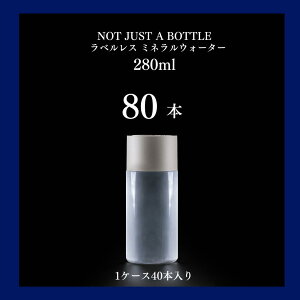 ~lEH[^[ 280ml 80{ xX  S xmR ~l   킢   VR  e fUC fUC{g  X^CbV 