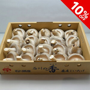 \oY  ő Y 1kg ̂     ͂  O lC  ΐ쌧 \o  Ε Mtg ̓ ̓ j  Mtg v[g 