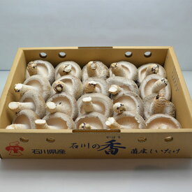 能登産 しいたけ 椎茸 国産 1kg きのこ 茸 料理 調理 ご飯 ごはん お取り寄せ グルメ 人気 おすすめ 石川県 能登町 お中元 お歳暮 ギフト 父の日 母の日 内祝い ご贈答 ギフト プレゼント 贈り物 ご当地グルメ