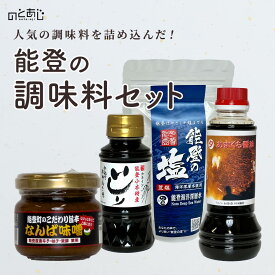 能登のご当地 調味料セット 4種類 いしり 醤油 みそ 塩 調味料 ごはんのおとも ご当地 お土産 ギフト お取り寄せ 石川県 能登 町 グルメ ご当地グルメ