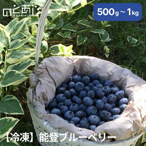 yⓀz Y \ou[x[ 1kg yS݁z  Ε Mtg ̓ ̓ q̓ j pɁII v[g 蕨 O nO x   
