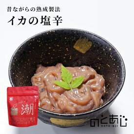 カネイシ いかの塩辛 120g 塩辛 いか イカ 国産 おつまみ ごはん 惣菜 珍味 ご当地 お土産 ギフト お取り寄せ 石川県 能登 町