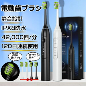 �y�����\�z�d�����u���V USB�[�d�� ���g���u���V �����U�� 42,000��/�� IPX8�h�� �{�́{�ւ��u���V ���C���� �����\�h �q�� ��l �g�ѕ֗� 2025�ŐV �V�i ����