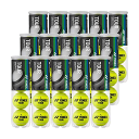 大人気商品 YONEX ヨネックス テニス ボール テニスボール TOUR ツアー 1箱 4球入り×15缶セット TB-TUR4