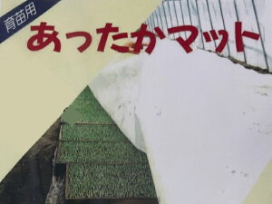 cV[g@}bg@0.3mm×10m×210cm ( т傤V[g )