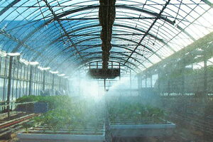 ~XgG[X20 |bgc 100m ( {_ƃVXe _ | ƒ ؉ K[fjO     `[u 񂷂  앨 ͔| nEX  )