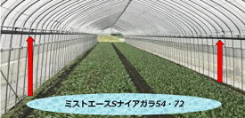 ミストエースSナイアガラ54 100m ( 日本農業システム 農業 園芸 家庭 菜園 ガーデニング 噴霧 水やり 灌水 潅水 チューブ 株元 野菜 果菜 葉菜 花卉 作物 栽培 ハウス 畑 )