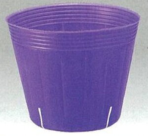 Gg[Ń|Cg10{IIXbg|bg@p[v@a10.5cm×9.0cm@3000