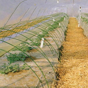 hGg[Ń|Cg5{Ihj[ZLXC|[ a5.5mm×210cm 100{ ( {_ƃVXe ZLXC ϐ _ | ƒ ؉ x gl nEX In  j