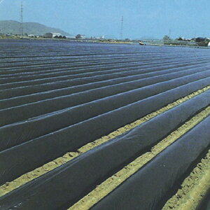 hGg[Ń|Cg5{IhiZ^[}[Nj}` i2܂j0.02mmX210cmX200m ( }` )