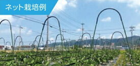 アーチパイプジョイント（ネット栽培用） 径16mm×間口780mmx高さ315mm ( 日本農業システム 農業 園芸 家庭菜園 支柱 鋼管竹 耐候性 セキスイ 積水 固定部材 畑 野菜 栽培 ネット 花卉 ハウス 資材 )