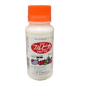 hGg[Ń|Cg5{IhtsJtAu 250ml