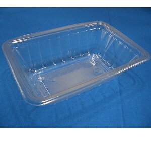 1����31���Ԗ������|�C���g5�{�i�v�G���g���[�j�C�`�S�p�b�N N-300GS�@170mm×115mm×50mm�@100�����@�܂Ƃ߂�20�Z�b�g