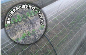 hlbg TTlbg\tCg SL2700 0.8mm 1.5m×100m (rj[nEX rj[ nEX i gl ͔|  ƒ؉ ΍ Q _Ɨp |lbg 悯lbg  _ p 