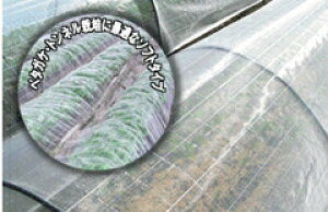 hlbg TTlbg\tCg SL3200 0.6mm 1.35m×100m (rj[nEX rj[ nEX i gl ͔|  ƒ؉ ΍ Q _Ɨp |lbg 悯lbg  _Ɨp 