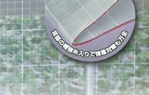 hlbg TTlbg\tCgSL6500 0.2×0.4mm 180cm×100m (rj[nEX rj[ nEX i gl ͔|  ƒ؉ ΍ Q _Ɨp |lbg 悯lbg  _