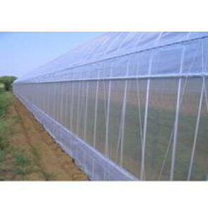 TVC\tg 0.75mmx135cmx100m (rj[nEX rj[ nEX i gl ͔|  ƒ؉ ΍ Q _ p h  lbg hlbg  悯lbg |l