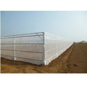 Gg[Ń|Cg10{II̓TVC 0.98mm×135cm×100m (rj[nEX rj[ nEX i ƒ؉ ΍ Q _ p h  lbg hlbg  悯lb