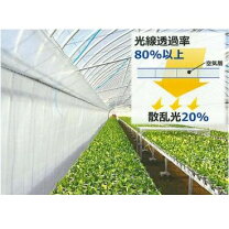 楽天市場】ビニールハウス 内張の通販