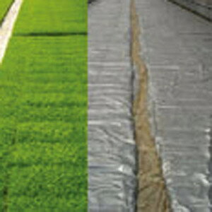 h|Cg5{IhVo[|p 0.05mm×100m×270cm ( cpi ʂ˂ ܂˂ ͔| c ۉV[g _Ǝ ۉ _Ɨp |p | K[fjO 