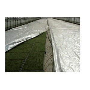 |VCS 0.06mm×50m×270cm ( c _Ɨp  V[g cV[g c  p ƒ؉ ۉtB ۉV[g _ƗpsDz |pi |pށEGi | _ 
