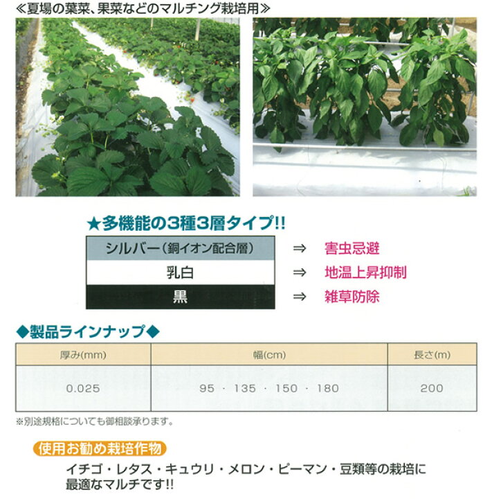 国産オリジナル 白黒マルチ 厚さ0.021mmX幅135cmX長さ 200m(遮光 マルチシート 農業用マルチ 防草 シート 農業 マルチング アイアグリ 日本農業システム 農業資材 ガーデニング 家庭菜園 農業用資材 園芸用品 雑草対策 マルチ 農業マルチ 畑) 農業資材 黒マルチ 厚さ0.02mm×幅135cm×長さ200m 3本セット(マルチシート 農業用マルチ 防草 シート 農業 マルチング 農業資材 家庭菜園 園芸用品 雑草対策 マルチ 畑 雑草防止 国産 肥料流亡 耐候性 耐熱性 被覆資材 マルチングシート 防草用品 防草グッズ 園芸道具 園芸用具)