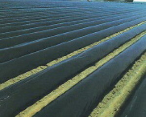 }`0.015mm×135cm×200m 3{Zbg ( }` )