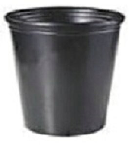 Gg[Ń|Cg10{II||bg 27.0cm50