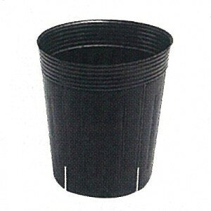 Gg[Ń|Cg10{II[Xbga10.5cm×12cm100 ( ӂ΂Xbg )