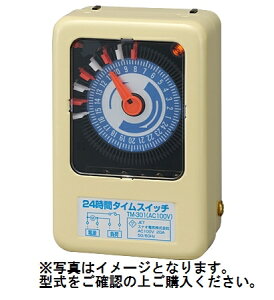 dƃ^C}[ TM-301 100V×20A ( {_ƃVXe 24ԃ^CXCb` _ | ƒ ؉ K[fjO ł񂵂傤 )