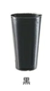 Gg[Ń|Cg10{IITO񂹐A|bg@N@a5.5cmX10cm@100