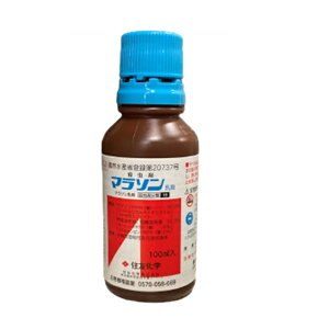 hGg[Ń|Cg5{Ih}\100mlE