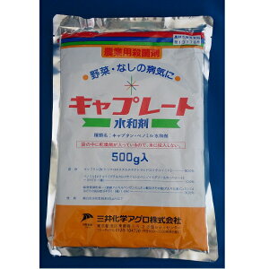 hGg[Ń|Cg5{IhLv[ga܁@500g