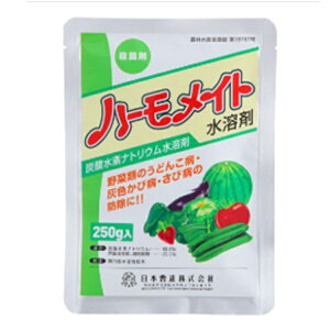 Gg[Ń|Cg10{IIn[Cgn 250g