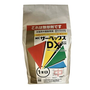 1����31���Ԗ������|�C���g5�{�i�v�G���g���[�j�U�[�x�b�N�XDX1�L�� ���� 1kg ( �U�[�x�b�N�XDX1�L����ゴ�� )