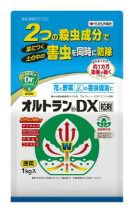 IgDX 1kg (K[fjOpi K[fpi ƒ뉀|  ΍ | K[fjO pi _Ɨpi _Ɨp _ Q쏜  E _Ǝ |pi |pށEGi E _