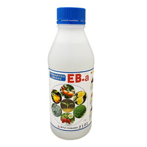 EB-a1L(t 엿  ƒ؉ K[fjO _|p |pi _Ǝ _Ɨp y Uz  ky d폰   A y  ~ Aؔ y ڐA A Œn ےn Ő 