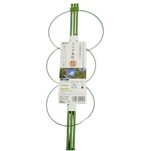 Ox 60cm ( {_ƃVXe Œ x _ | ƒ؉ gl    v^[ ATKI N}`X Oイ )