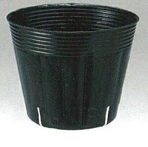 Gg[Ń|Cg10{IIXbg|bg@@a9.0cm×7.6cm@4000