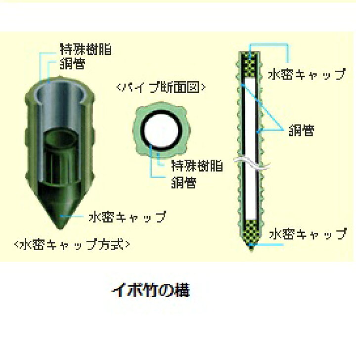 値下げ 在庫処分 イボ竹ストロング | ヤマダウェブコム