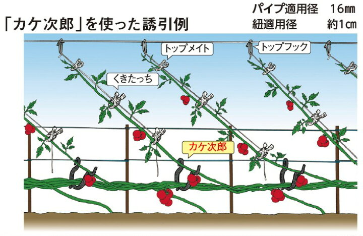 楽天市場】エントリーでポイント7倍 カケ次郎115×120 50個入り ( カケ 