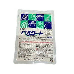 Gg[Ń|Cg10{IIxN[ga 100g ( xN[g킴 )