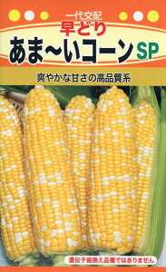 �g�E�����R�V�̎�@F1�@���ǂ�@���܁`���R�[��SP�@22ml�@�i��3370�@��q�@����