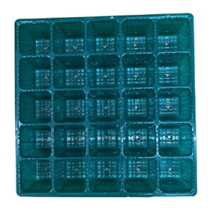 Gg[Ń|Cg10{IIA|bg 25 400